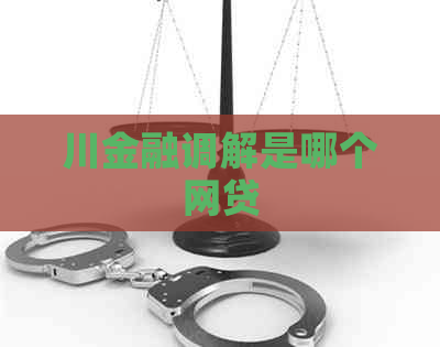 川金融调解是哪个网贷