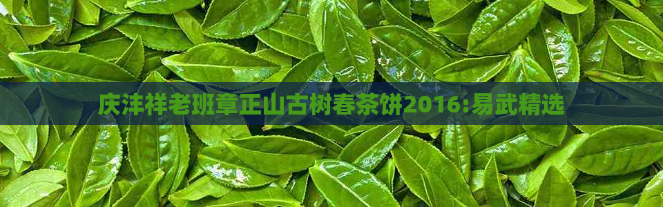 庆沣祥老班章正山古树春茶饼2016:易武精选