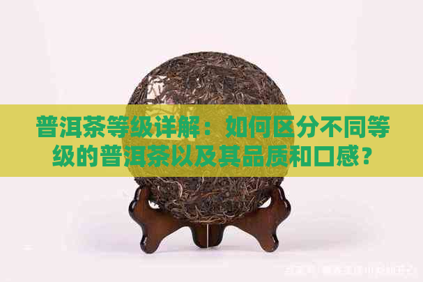 普洱茶等级详解：如何区分不同等级的普洱茶以及其品质和口感？