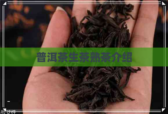 普洱茶生茶熟茶介绍