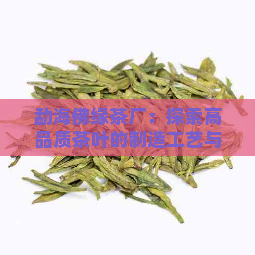 勐海佛缘茶厂：探索高品质茶叶的制造工艺与文化传承