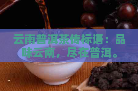 云南普洱茶传标语：品味云南，尽在普洱。