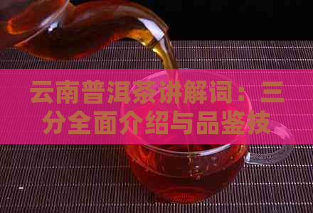 云南普洱茶讲解词：三分全面介绍与品鉴技巧