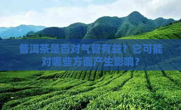 普洱茶是否对气管有益？它可能对哪些方面产生影响？