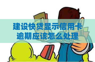 建设快贷显示信用卡逾期应该怎么处理