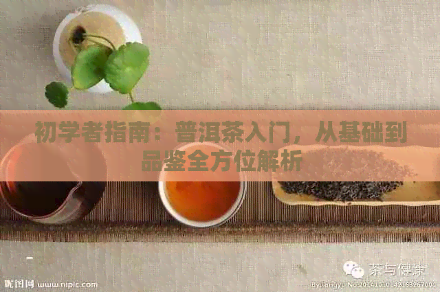 初学者指南：普洱茶入门，从基础到品鉴全方位解析