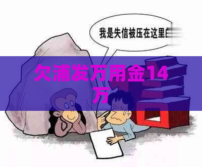 欠浦发万用金14万