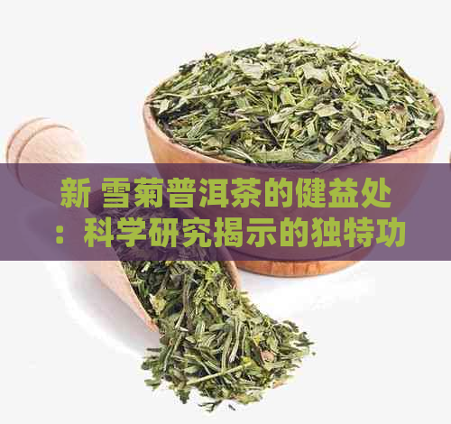 新 雪菊普洱茶的健益处：科学研究揭示的独特功效和特性