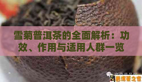 雪菊普洱茶的全面解析：功效、作用与适用人群一览无余