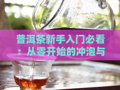 普洱茶新手入门必看：从零开始的冲泡与品鉴完整教程