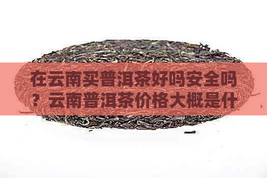 在云南买普洱茶好吗安全吗？云南普洱茶价格大概是什么价位？