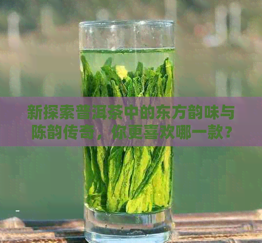 新探索普洱茶中的东方韵味与陈韵传奇，你更喜欢哪一款？