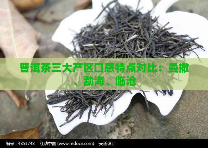 普洱茶三大产区口感特点对比：曼撒、勐海、临沧