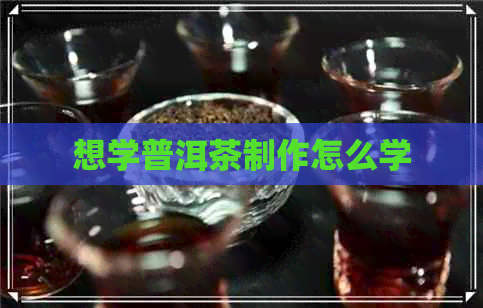 想学普洱茶制作怎么学