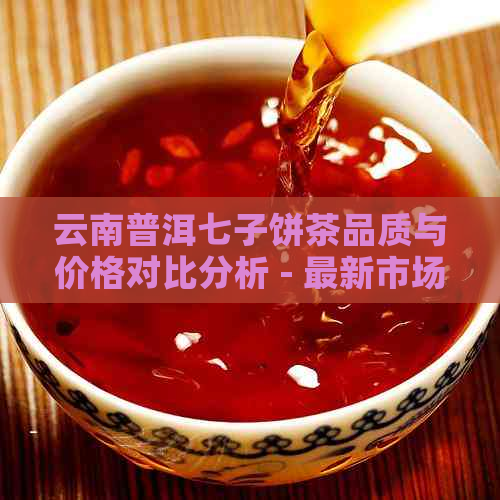 云南普洱七子饼茶品质与价格对比分析 - 最新市场行情查询