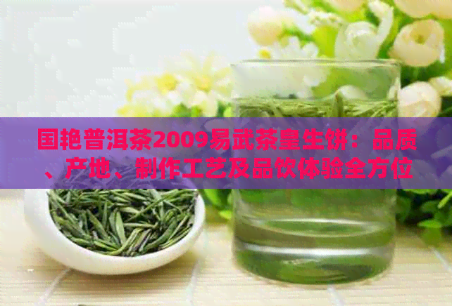 国艳普洱茶2009易武茶皇生饼：品质、产地、制作工艺及品饮体验全方位解析