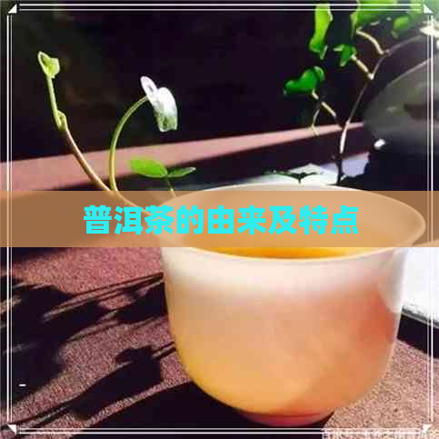 普洱茶的由来及特点