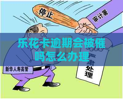 逾期会被催吗怎么办理