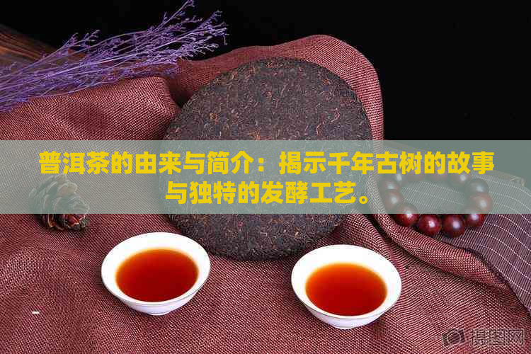 普洱茶的由来与简介：揭示千年古树的故事与独特的发酵工艺。