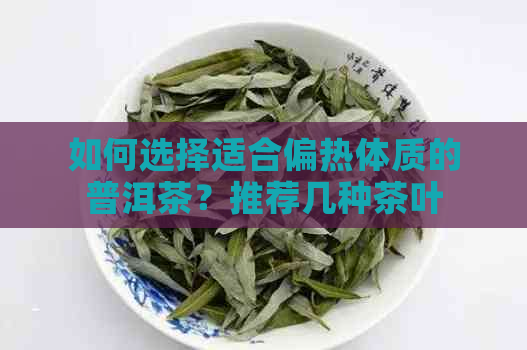 如何选择适合偏热体质的普洱茶？推荐几种茶叶