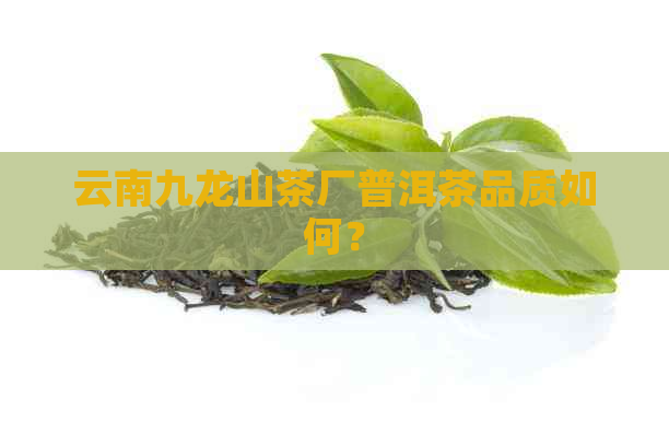 云南九龙山茶厂普洱茶品质如何？