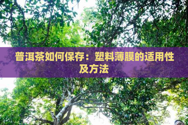 普洱茶如何保存：塑料薄膜的适用性及方法