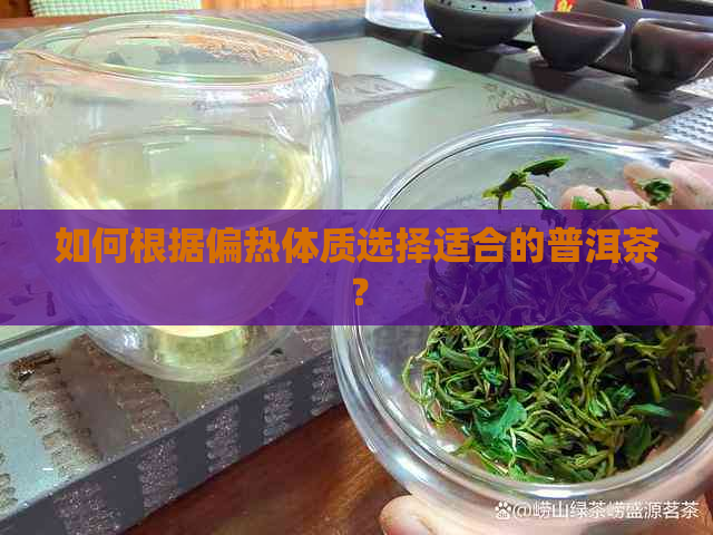 如何根据偏热体质选择适合的普洱茶？