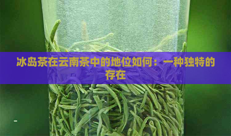 冰岛茶在云南茶中的地位如何：一种独特的存在