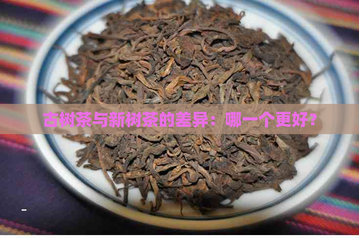 古树茶与新树茶的差异：哪一个更好？