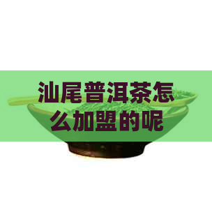 汕尾普洱茶怎么加盟的呢