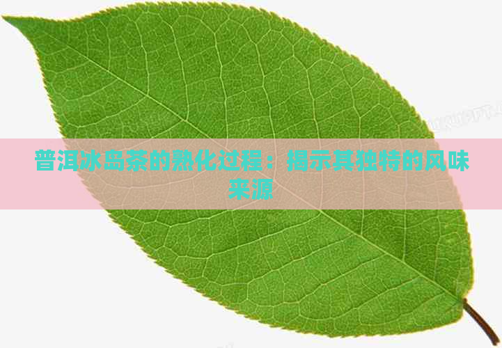 普洱冰岛茶的熟化过程：揭示其独特的风味来源