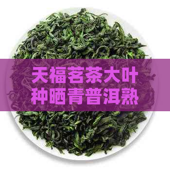 天福茗茶大叶种晒青普洱熟茶价格表及详情