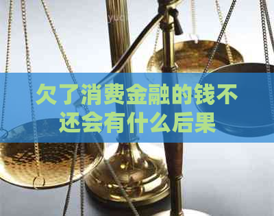 欠了消费金融的钱不还会有什么后果