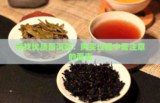 寻找优质普洱茶：购买过程中需注意的要素