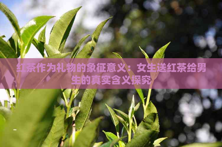 红茶作为礼物的象征意义：女生送红茶给男生的真实含义探究