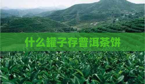 什么罐子存普洱茶饼