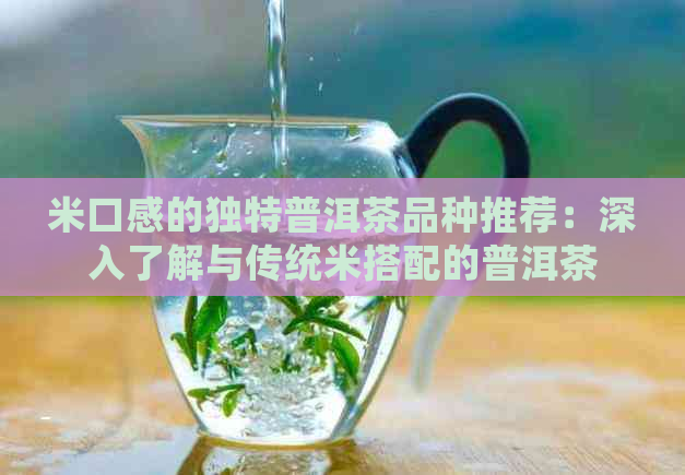 米口感的独特普洱茶品种推荐：深入了解与传统米搭配的普洱茶