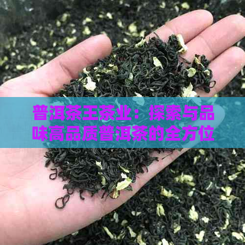 普洱茶王茶业：探索与品味高品质普洱茶的全方位指南