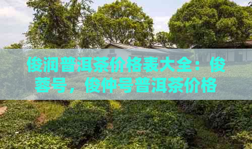 俊润普洱茶价格表大全：俊蓉号，俊仲号普洱茶价格