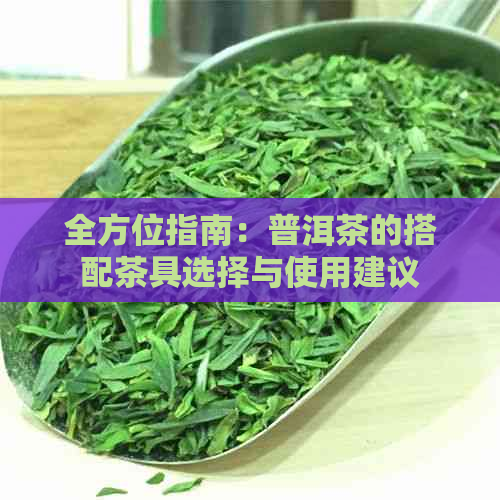 全方位指南：普洱茶的搭配茶具选择与使用建议