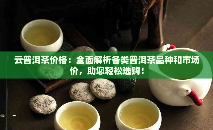 云普洱茶价格：全面解析各类普洱茶品种和市场价，助您轻松选购！