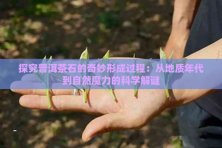 探究普洱茶石的奇妙形成过程：从地质年代到自然魔力的科学解谜