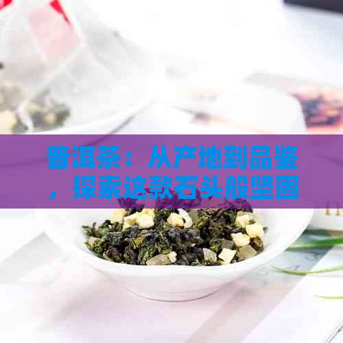 普洱茶：从产地到品鉴，探索这款石头般坚固的茶叶的所有奥秘