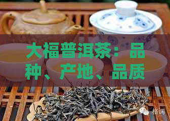 大福普洱茶：品种、产地、品质与价格全解析，助您挑选最适合的茶叶