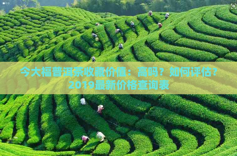 今大福普洱茶收藏价值：高吗？如何评估？2019最新价格查询表