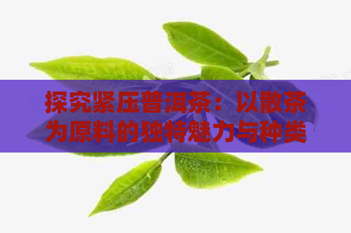 探究紧压普洱茶：以散茶为原料的独特魅力与种类