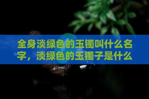 全身淡绿色的玉镯叫什么名字，淡绿色的玉镯子是什么玉？