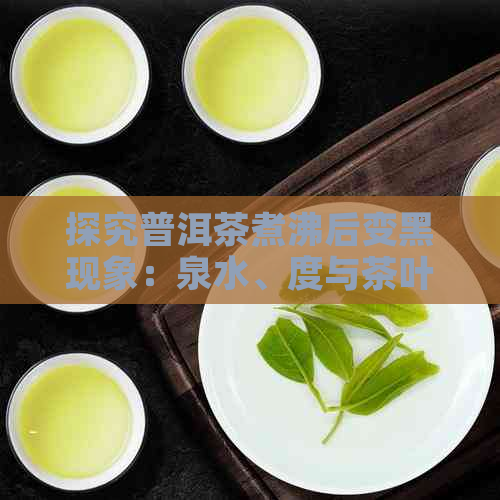 探究普洱茶煮沸后变黑现象：泉水、度与茶叶化学反应的关系