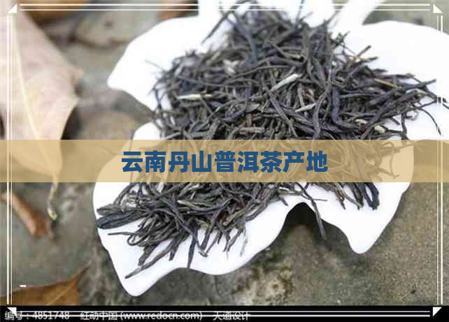 云南丹山普洱茶产地