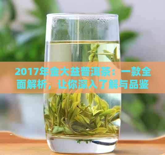 2017年金大益普洱茶：一款全面解析，让你深入了解与品鉴的全方位指南